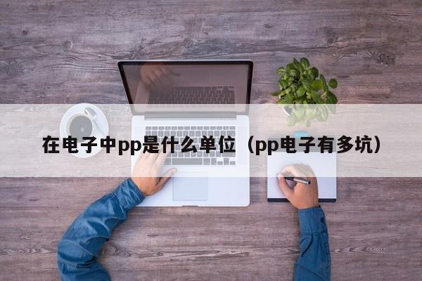 在电子中pp是什么单位（pp电子有多坑）